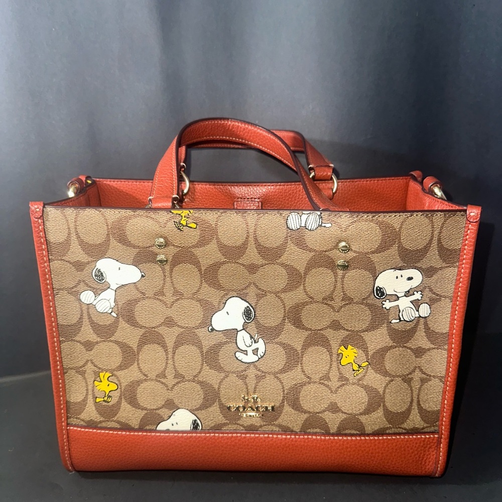Snoopy Coach